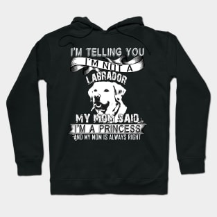 I'm telling you i'm not a labrador Hoodie